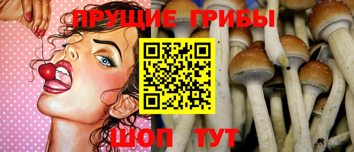 Псилоцибиновые грибы ЛСД Прохладный