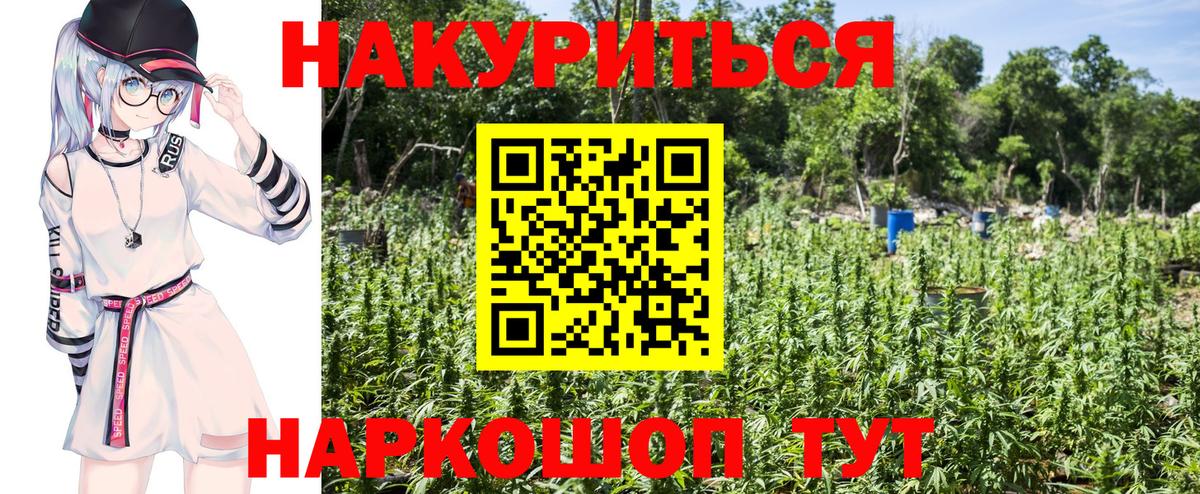 Бошки Шишки планчик Прохладный